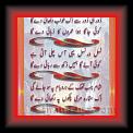 nasir ghazal 01 * 22.03.2008 * 383 x 674 * (57KB)